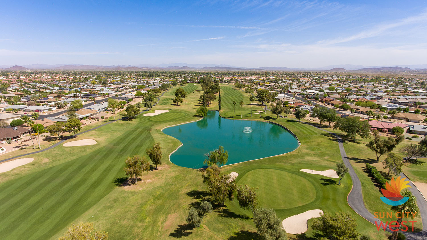 Paternity Testing Service in Sun City West, AZ